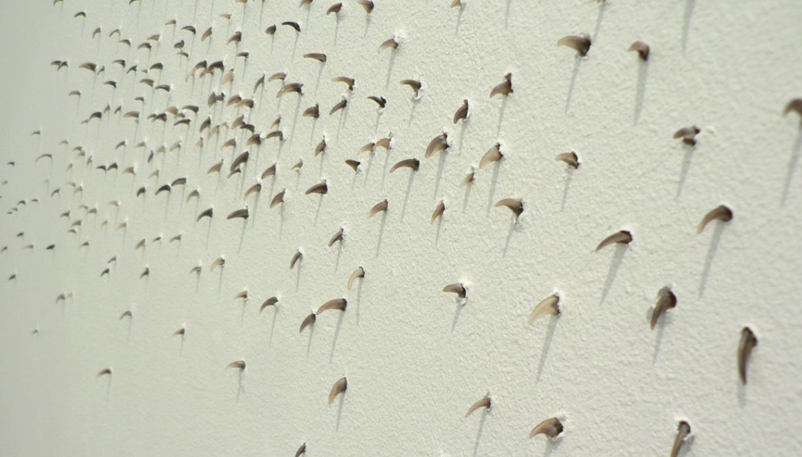 “Finlàndia?” a la Sala Alcalà 31