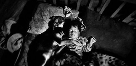 Art Deal Project a la fira JäälPhoto