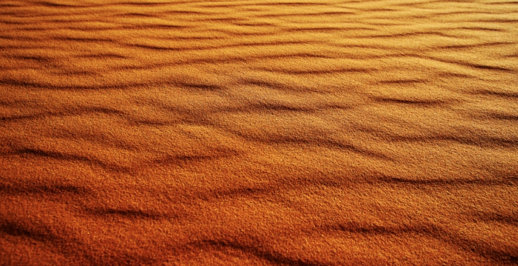 Salvador Gómez participarà a la Fira Jäälphoto