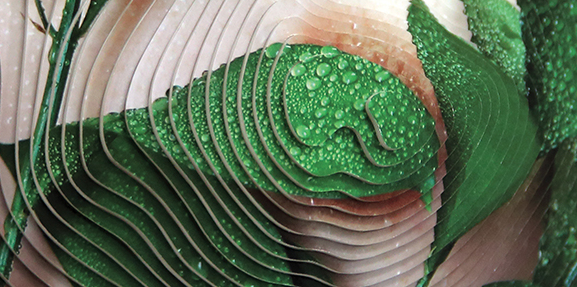 Stefanie Herr presenta \