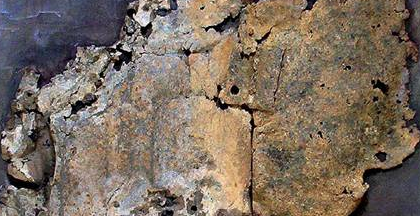 Isabel Pons Tello presenta \