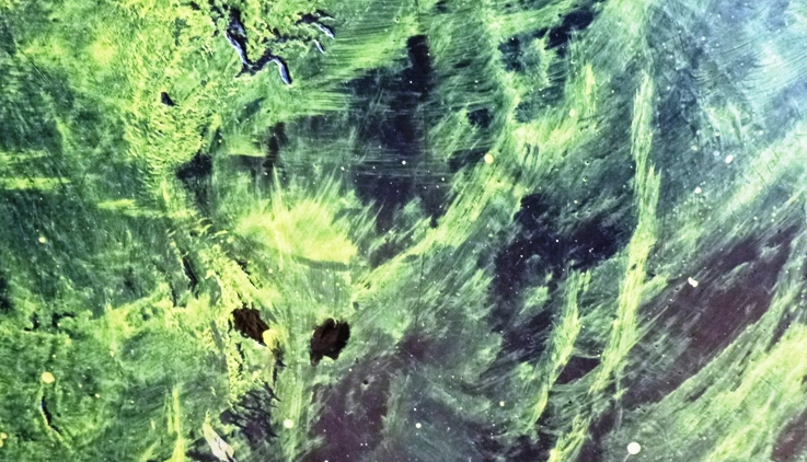 Pere Mià exposa a Les Bernardes