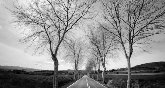 25 anys de fotografia de Quim Farrero a l\'Institut d\'Estudis Fotogràfics de Catalunya