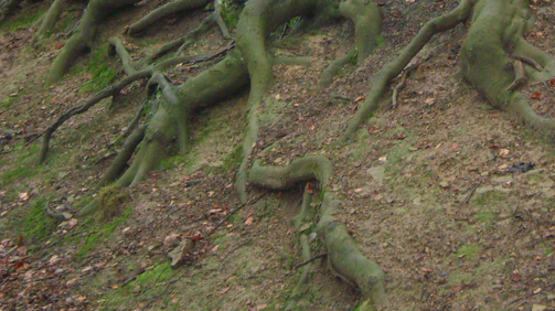 Desat\'art convoca el primer certamen d\'art i disseny