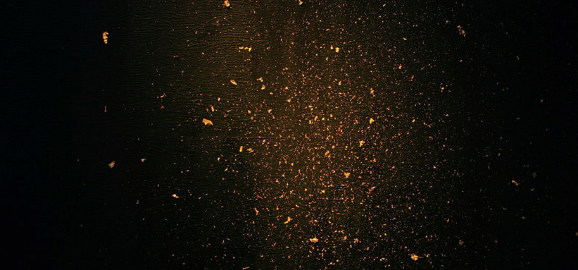 Sarah van Sonsbeeck exposa a Annet Gelink Gallery 