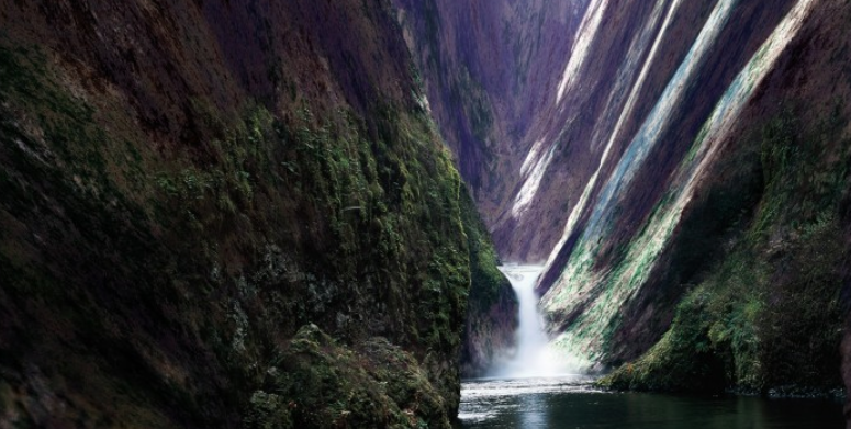 L’obra de Fontcuberta protagonitza una exposició a la Maison de la Photographie