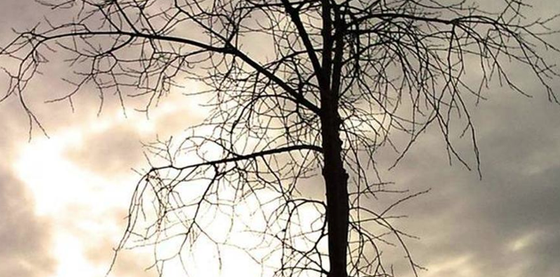 Exposició fotogràfica de Wark al Centre Cívic Sant Narcís