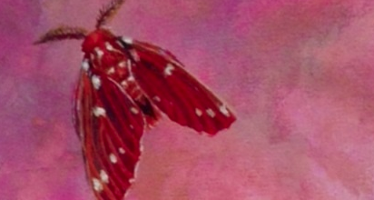 Col·lectiva a la Galería La Carbonería