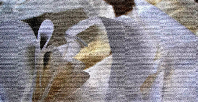 Una exposició diferent a la Galeria Dolors Ventós