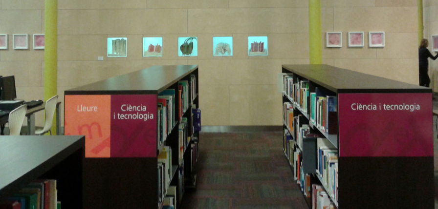 Dolors Puigdemont a la biblioteca de la Coma Cros