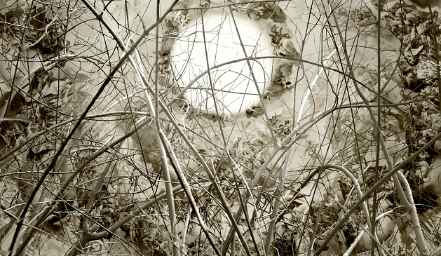 Pablo Genovés a la Galeria Pilar Serra