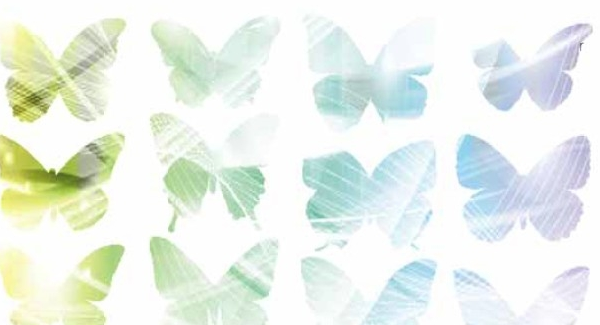 El Museu de Ciències Naturals presenta una exposició de joies inspirades en papallones