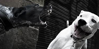 Le Méridien Barcelona presenta les fotografies de Kike del Olmo