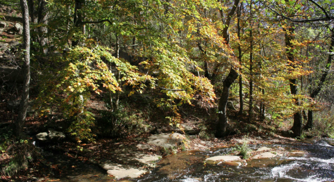 Fotografies de natura de tot el món per obrir Foto-Montseny 2013  
