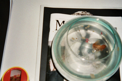 El disseny gràfic i la creativitat protagonitzen Blanc Bcn