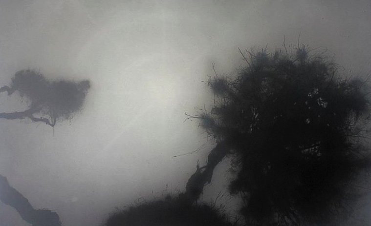 Ricard Chiang inaugura \