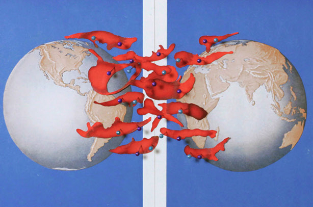 Astrid Colomar al Casal Solleric amb motiu de la Nit de l\'Art 2013