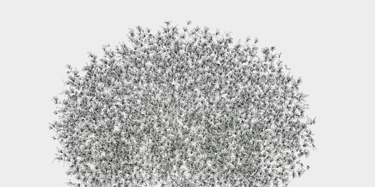 El 19 de setembre, \