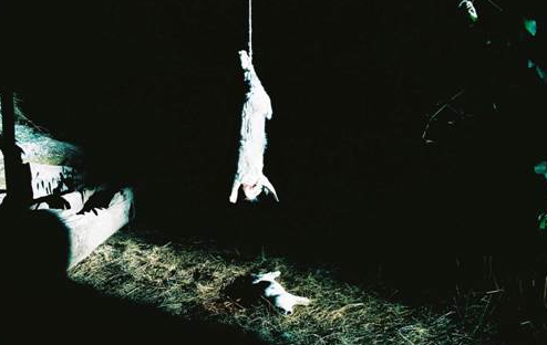 La pel·lícula d\'Albert Serra, guanyadora del festival de Locarno, s\'estrena al Reina Sofia