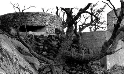 El Museu Memorial de l\'Exili prepara \