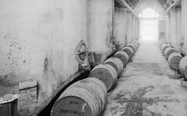 Exposició sobre els 100 anys del Celler Cooperatiu al Museu de la Vida Rural