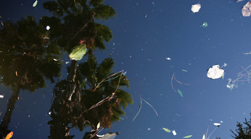 La Fundació Frax presenta \