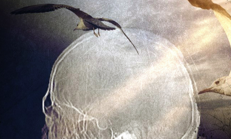 Miquel Ruiz presenta \