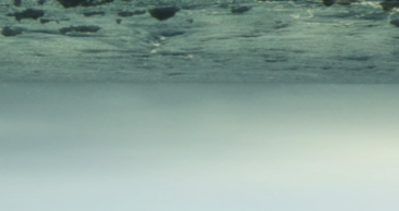 Mostra de cinema de frontera i I Concurs de curtmetratges Walter Benjamin