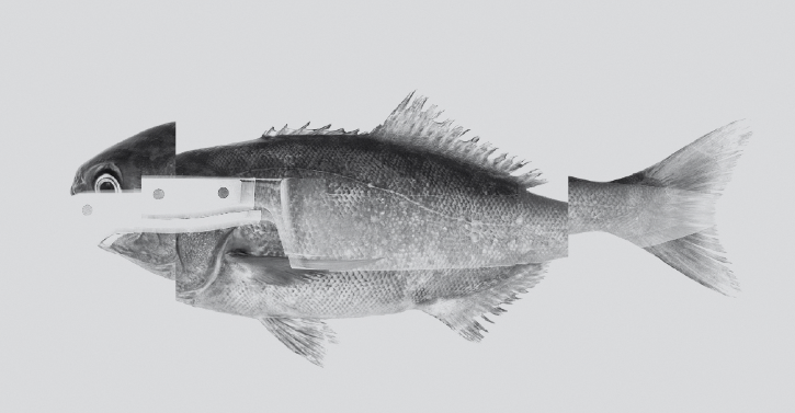 Col·lectiva d\'artistes residents a Roca Umbert