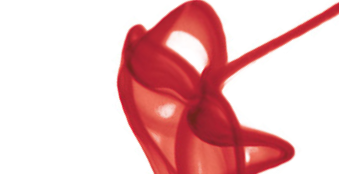 Primera edició de la Fira de pintura, vins i formatges