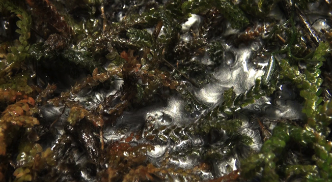 La Galeria N2 presenta \