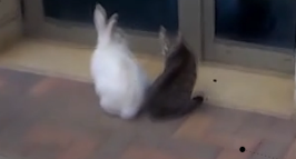 Erb Mon a Mutuo Centro de Arte