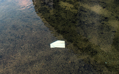 Jordi Mitjà a la Galeria Cànem