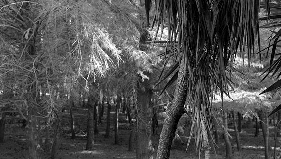 Gerard Boyer exposa un treball sobre l’antiga Universitat Laboral
