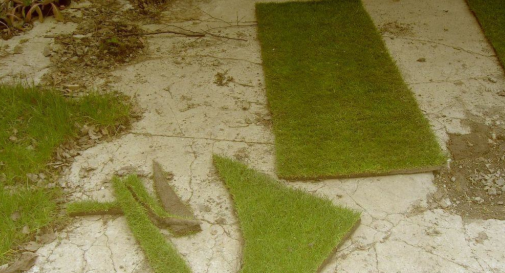 Exposició de Lozano, Miseviciute, Vila i Dejiménez a l\'Espai Lola Orato