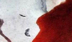 Katy Pastor presenta \