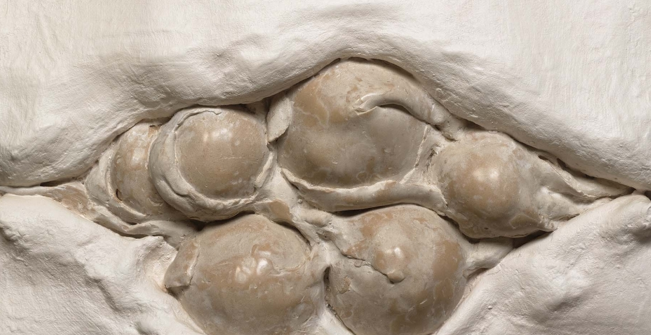 Les escultures de Llorenç Ginard a Es Baluard