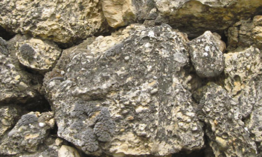 Presentació de “Marges”, novel·la de Roger Vilà Padró, al Museu de la Vida Rural