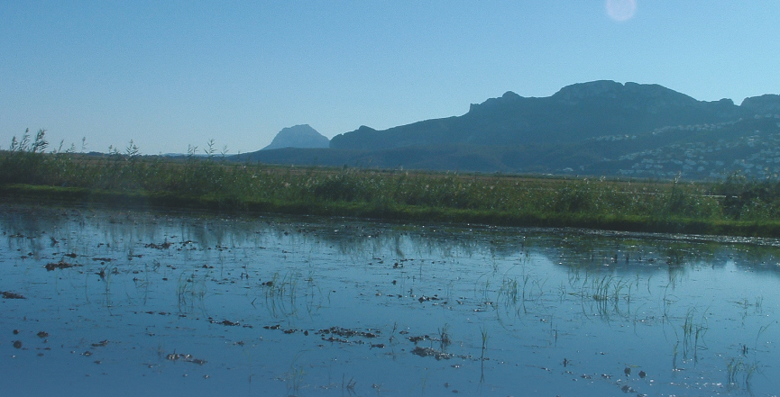 Concurs de fotografia sobre \