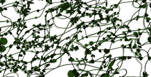 La Caja Negra participa a la SP-Arte 2013