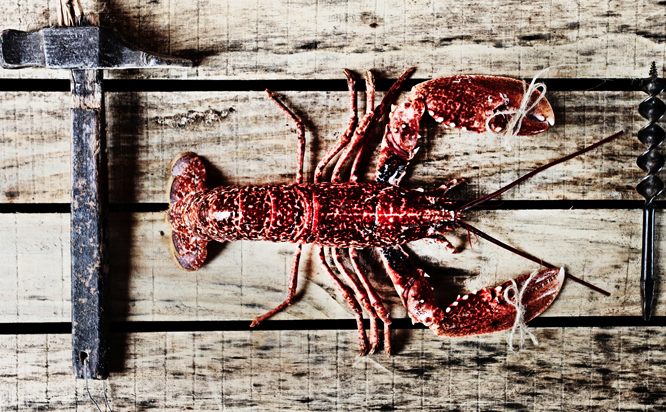 Nando Esteva guanya la plata en els \