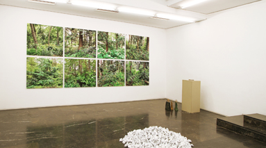 La Galeria Luis Adelantado anuncia la convocatòria d’Arts Visuals per a joves, “Call 2013” 