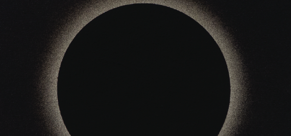 Rui Toscano a la Cristina Guerra Contemporary Art