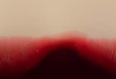 Gerard Fernández Rico presenta \