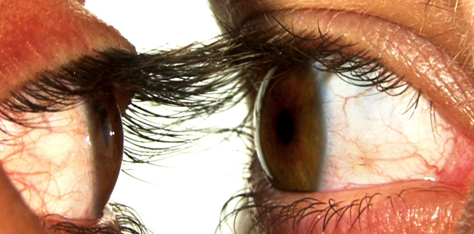 Vuitena Biennal d\'Art Leandre Cristòfol