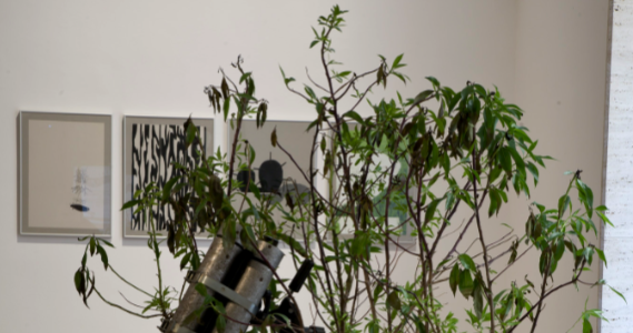 Arquitectures locals de Manel Margalef a Can Mario de la Fundació Vila Casas