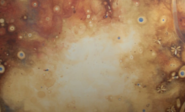 Doble exposició de Josep Joan Ferrer a la Galeria el Temple