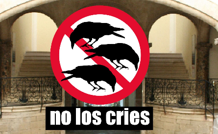 Olimpia Velasco presenta \