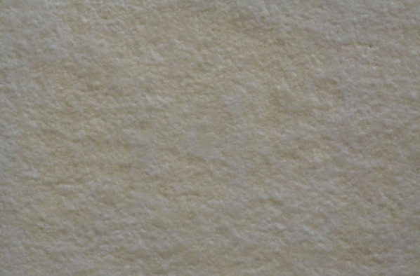 Bases del Premi Telax convocat per la Galeria Antoni Puyol