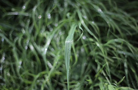 Vicky Méndiz, artista en residència de febrer a Addaya Centre d\'Art Contemporani